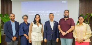 ETED impulsa la estabilidad del sistema eléctrico con el proyecto STATCOM Statcom